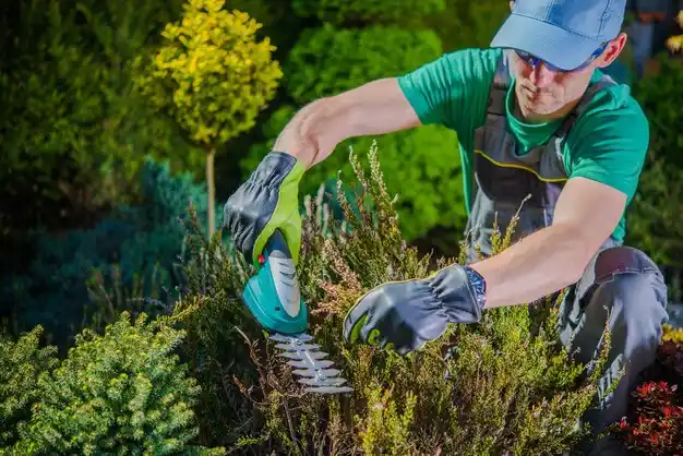 landscaping services Groveport